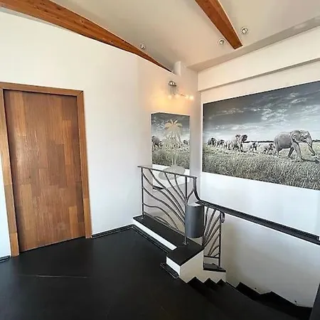 Mont Boron - - Splendide D'architecte Vue Panoramique ヴィラ